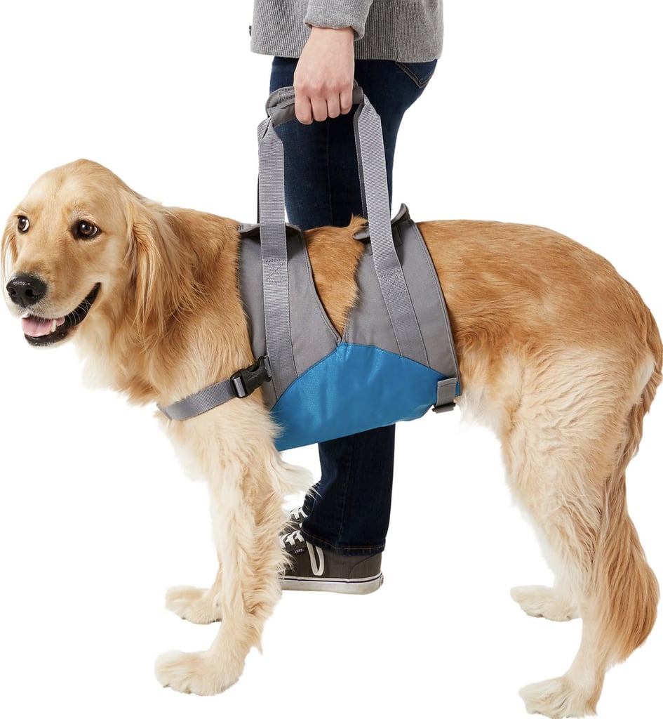 Walking Dog Harness UK with Great Padding - £98.89