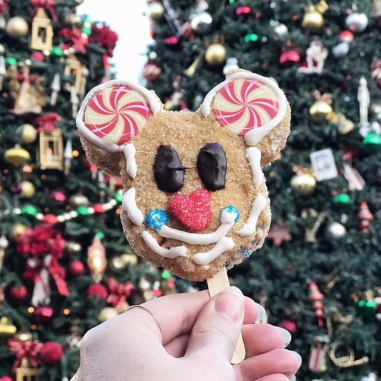 Disneyland Holiday 2017