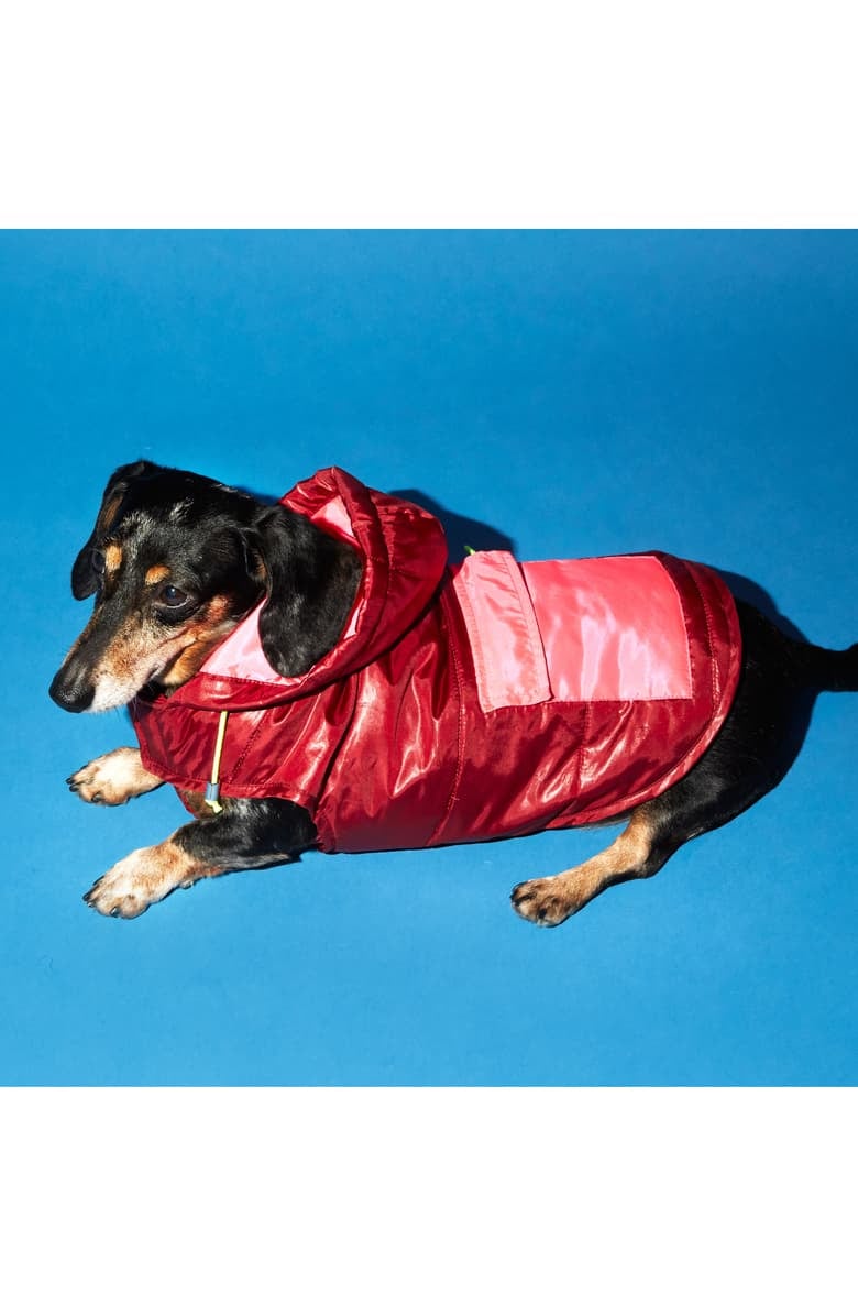 Ware of the Dog Colorblock Dog Puffer Coat