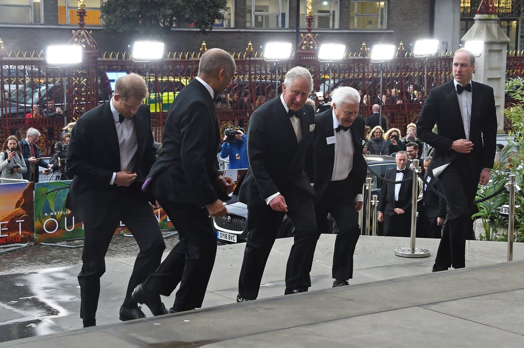 Harry, William, and Charles at Our Planet Premiere 2019