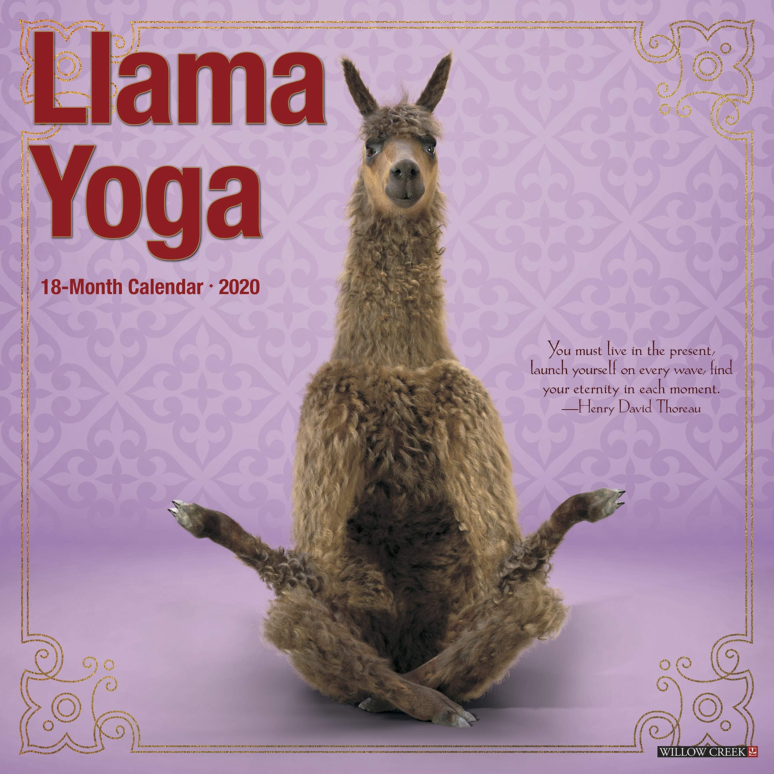 Llamaste Leggings – Llamaste Family Yoga Center