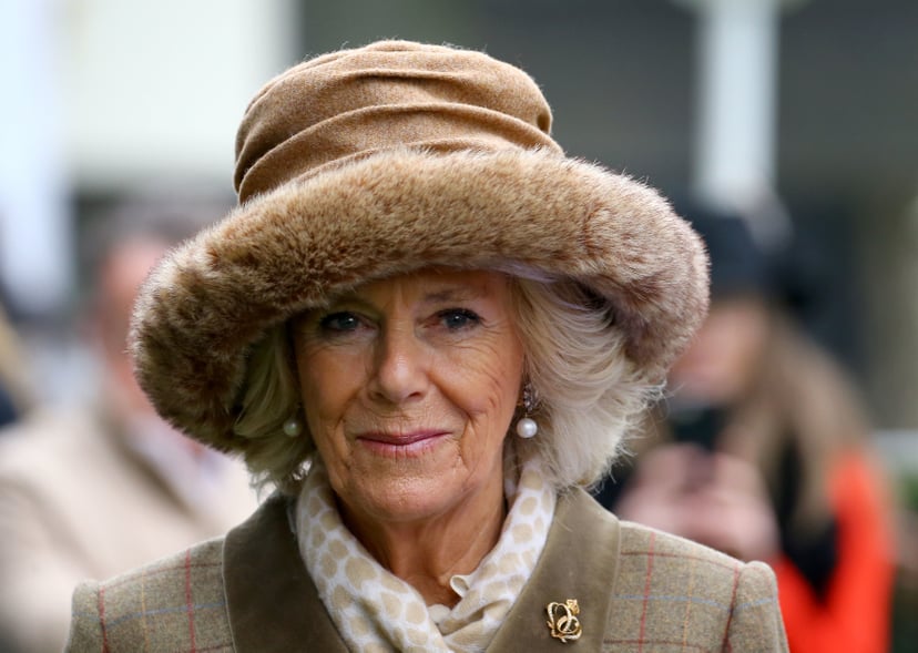 ASCOT, ENGLAND - NOVEMBER 23:   Camilla, Duchess of Cornwall attends The Prince's Countryside Fund Raceday at Ascot Racecourse on November 23, 2018 in Ascot, England. (Photo by Gareth Fuller - WPA Pool/Getty Images)