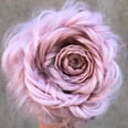 These Gorgeous Braided Rose Hairstyles Are Easier to DIY Than You May Think