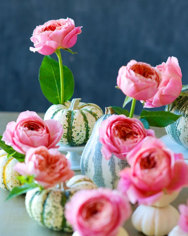 Mini Pumpkin Table Runner