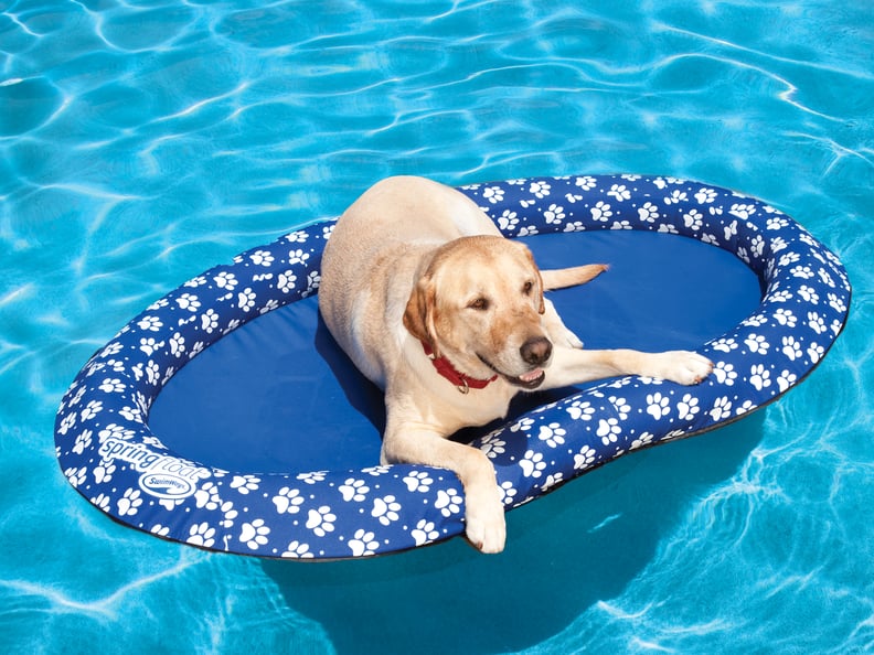 SwimWays Paddle Paws Dog Pool Float for Large Dogs