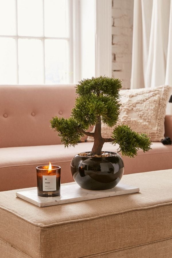  Bonsai Tree Faux of the decade Don t miss out 