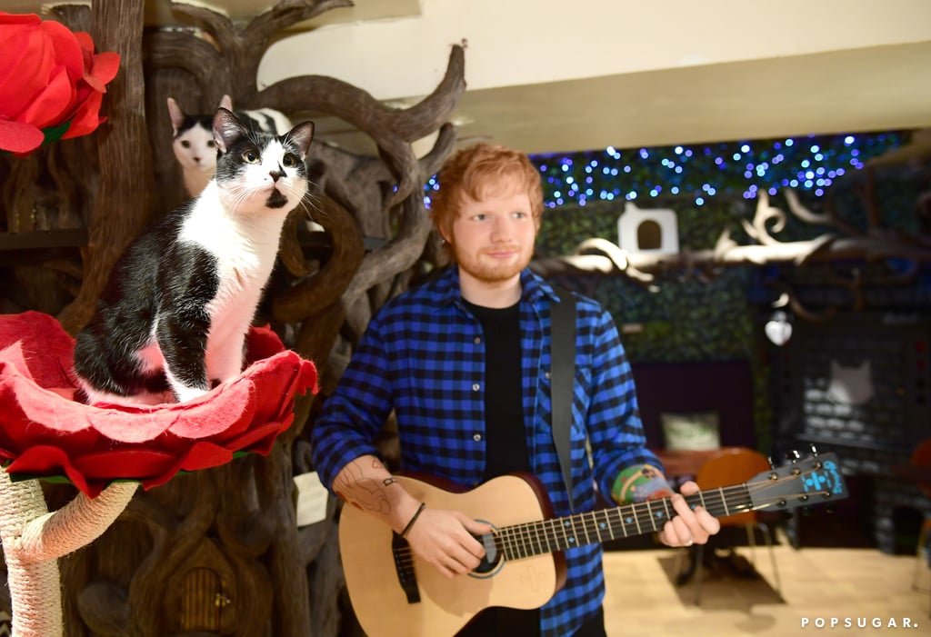 Ed Sheeran Madame Tussauds Wax Figure