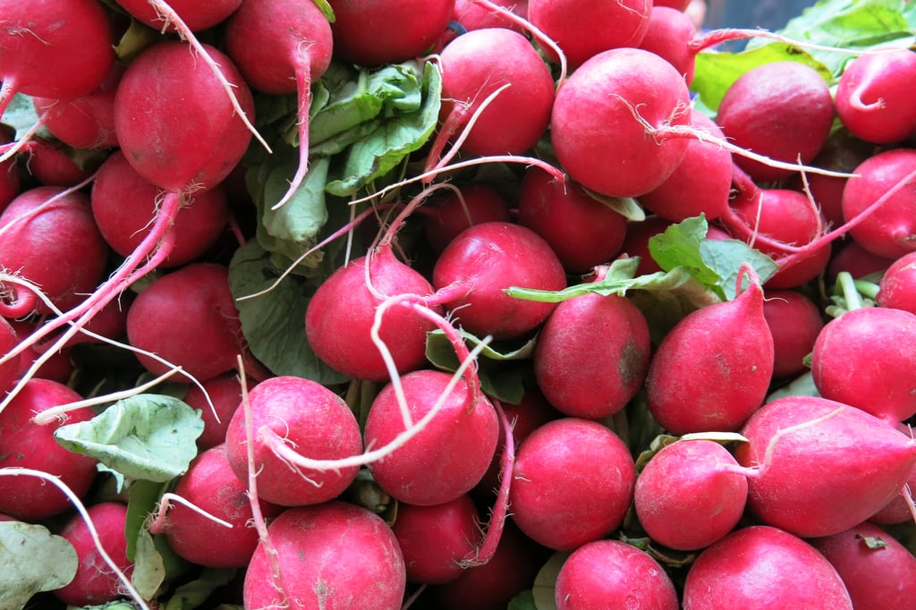 Radishes