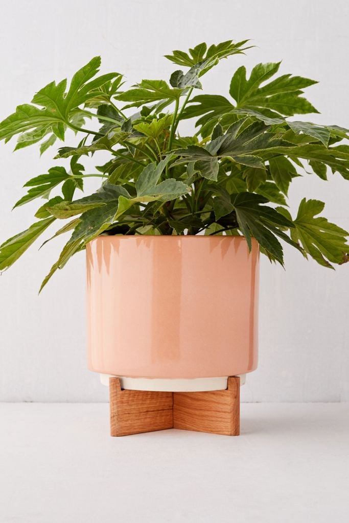Cecily 10” Planter + Stand