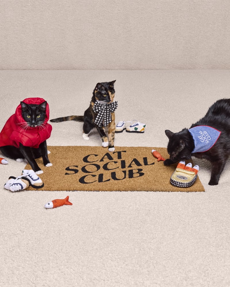Target Unveils The Cuddle Collab Pet Collection, Coming Soon