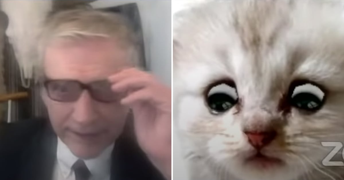 Lawyer Joins Zoom Call With Cat Filter Video POPSUGAR Tech
