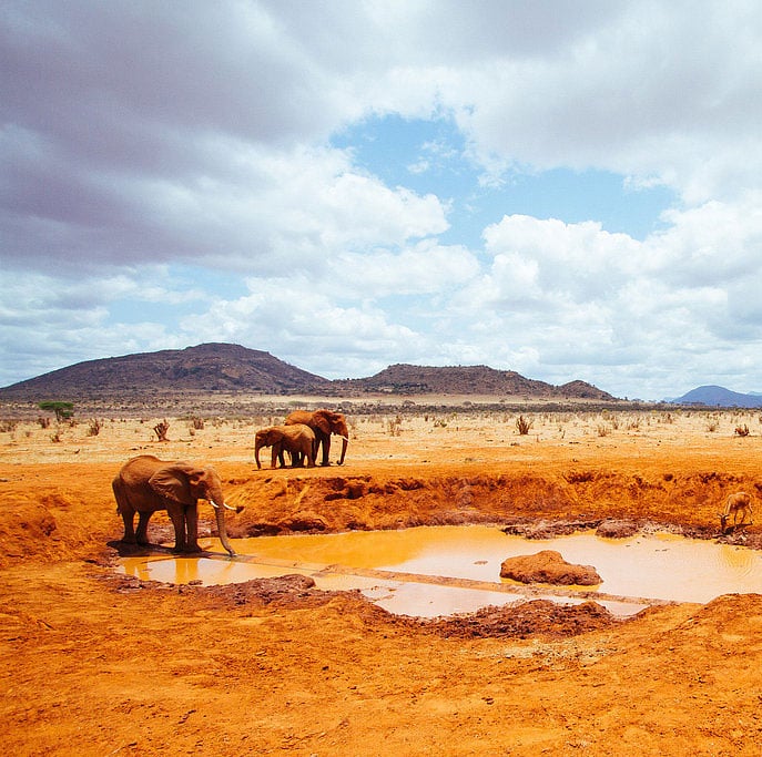 Tsavo West National Park, Kenya