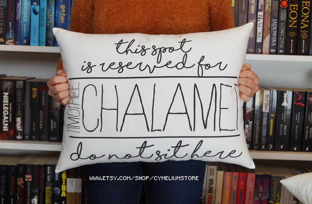 Timothée Chalamet Decorative Pillow