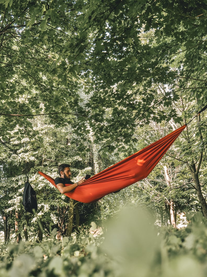 Read an adventure novel in a tree.