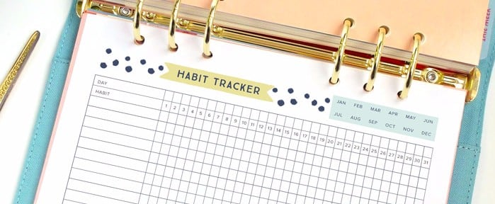 15 Printable Organization Sheets to Help Get Your Life Together