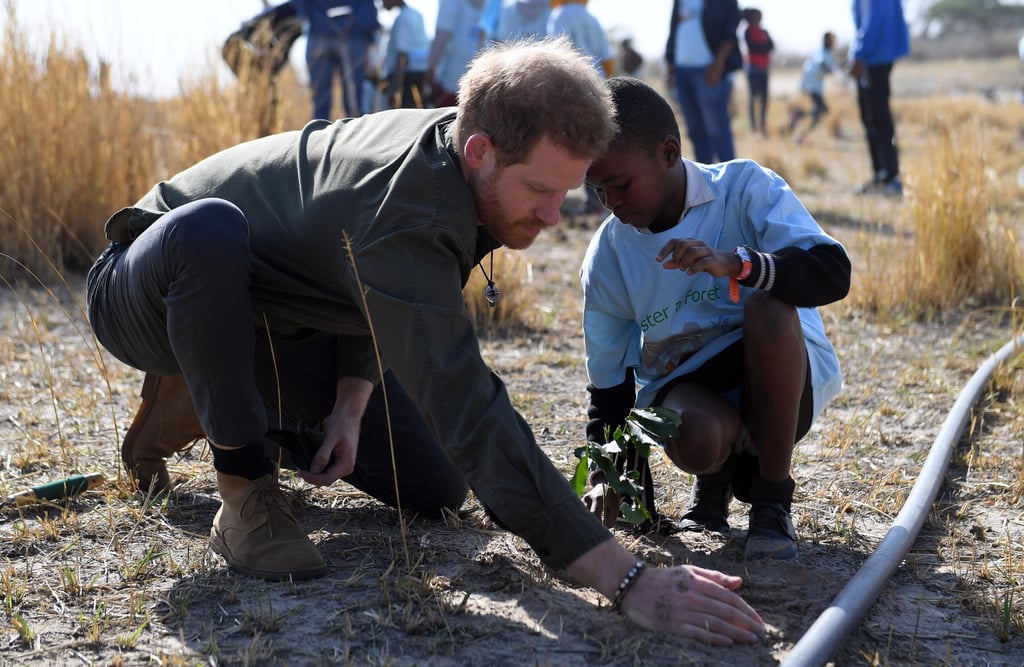 Photos of Meghan Markle and Prince Harry's South Africa Tour