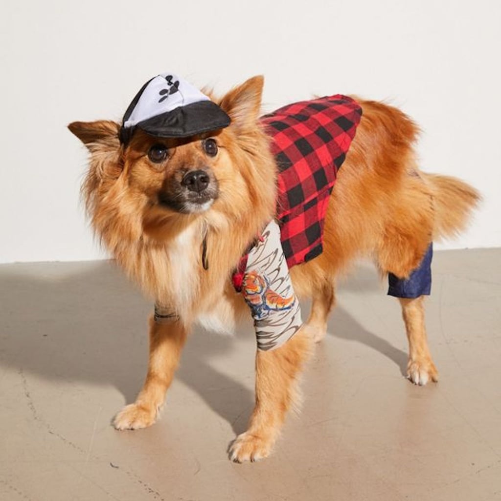 Hipster dog on sale costume