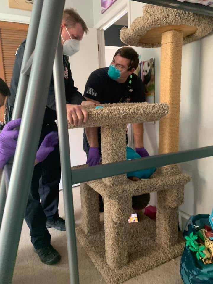 Boy Who Got His Head Stuck in a Cat Tree Funny Photos POPSUGAR UK