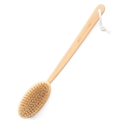 Earth Therapeutics Back Brush