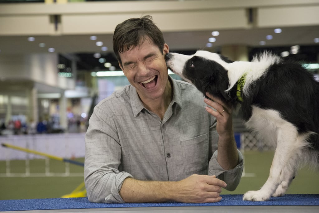 Jerry O'Connell at AKC National Championship Dog Show
