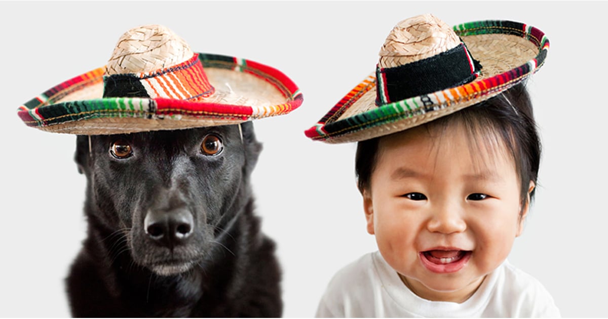 Dog And Baby Dress Up In Matching Outfits Popsugar Family