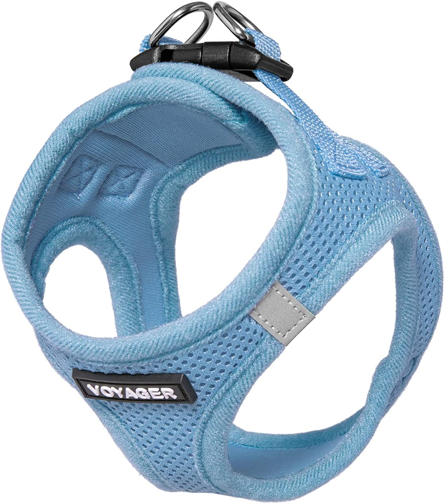 Best Value Dog Harness: Voyager Step-in Air Dog Harness