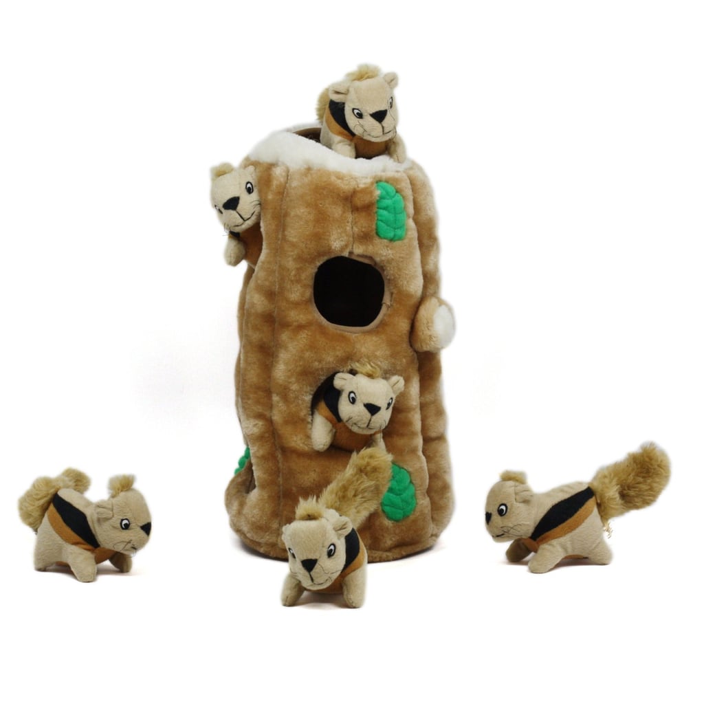 outward hound hide a squirrel xl