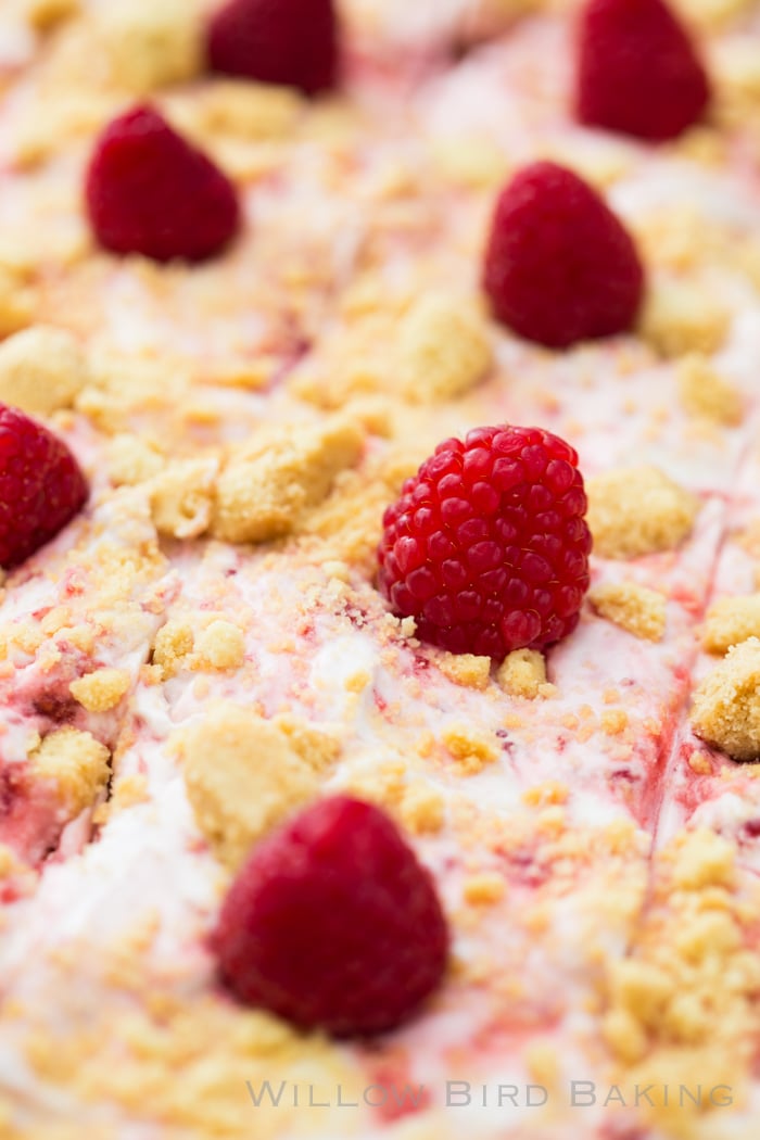 Raspberry Fool Sheet Cake