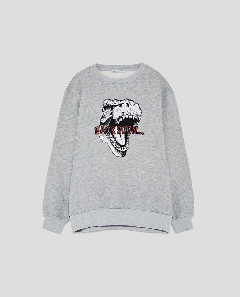 Zara Dinosaur Sweatshirt