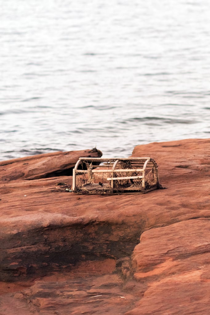 Anne of Green Gables Styled Couples Shoot