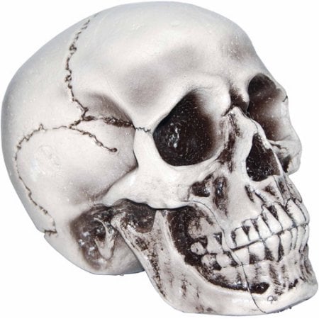 Realistic Life-Size Foam Skull ($6, originally $7)