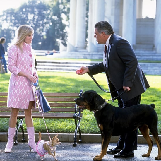 Types of Dog Owners You Meet