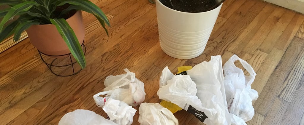 What It's Like to Live Waste-Free