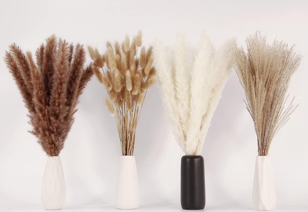 Best Pampas Grass
