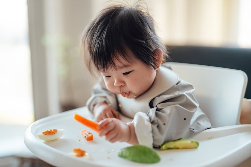 Asian baby girl eating a slice of carrot by herself while sitting in high chair. Baby-led weaning (BLW). Baby finger food.