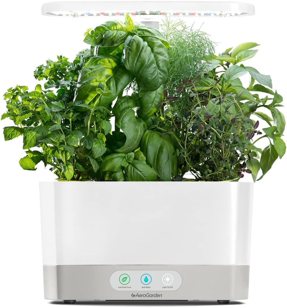 Best Gardening Deal