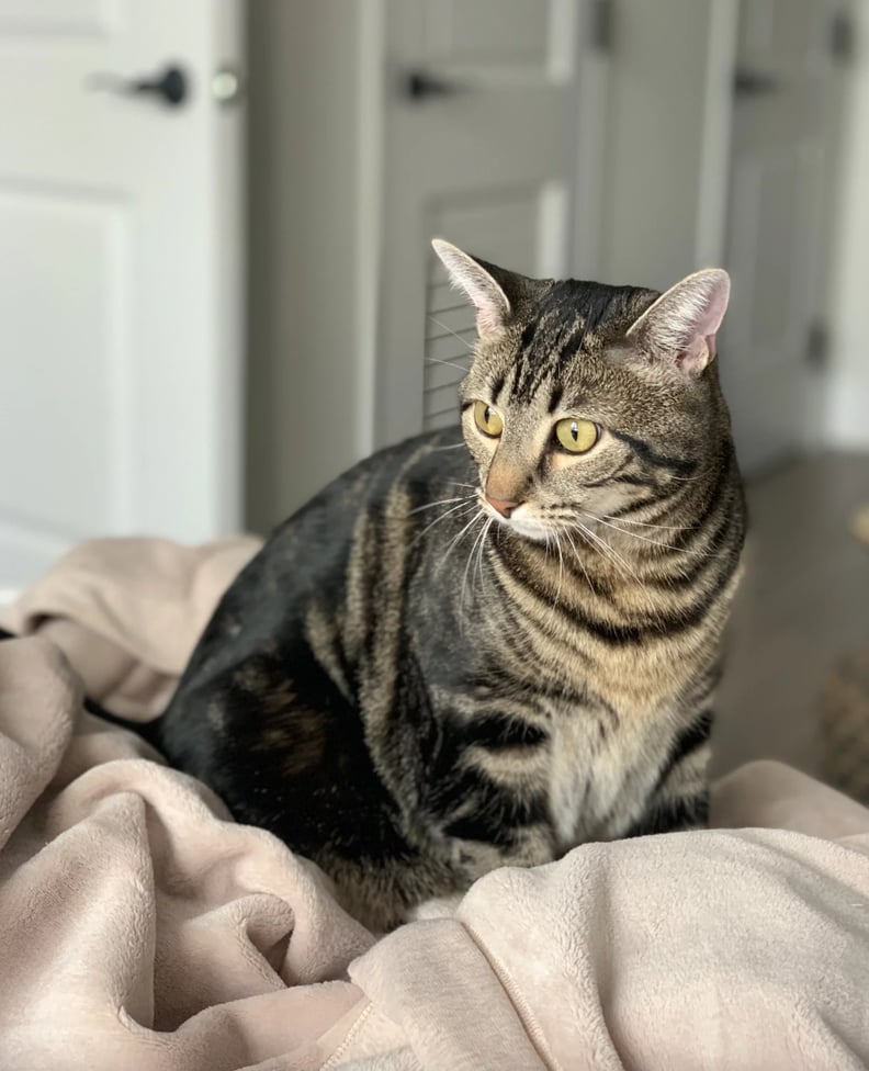 Best Velvet Blanket