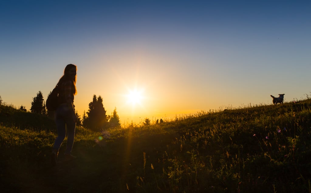 Appreciate Nature in Silence
