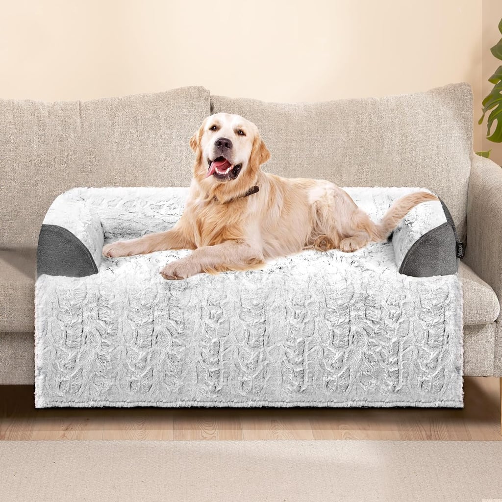 Best Couch Bed