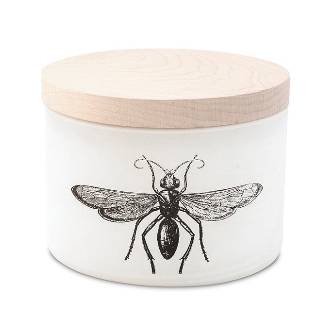 Citronella Triple Wick Candle Best Citronella Candles 2020