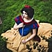 Disney Princess Costumes