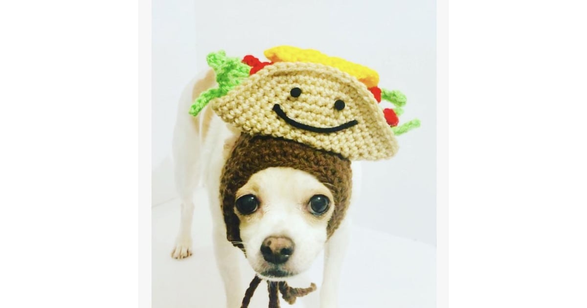 Taco Pet Costume Cat Taco Halloween Costumes POPSUGAR Pets Photo 19