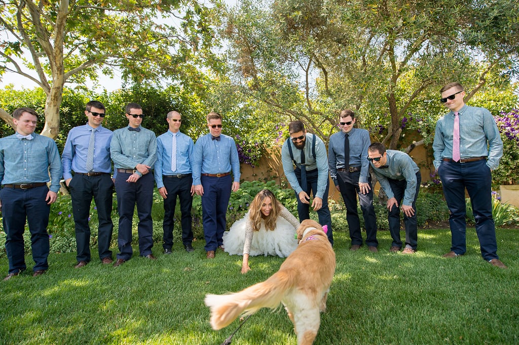 Dogs in Weddings