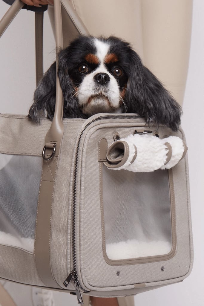 只是为了好玩的礼物:Maxbone全球公民宠物手提袋