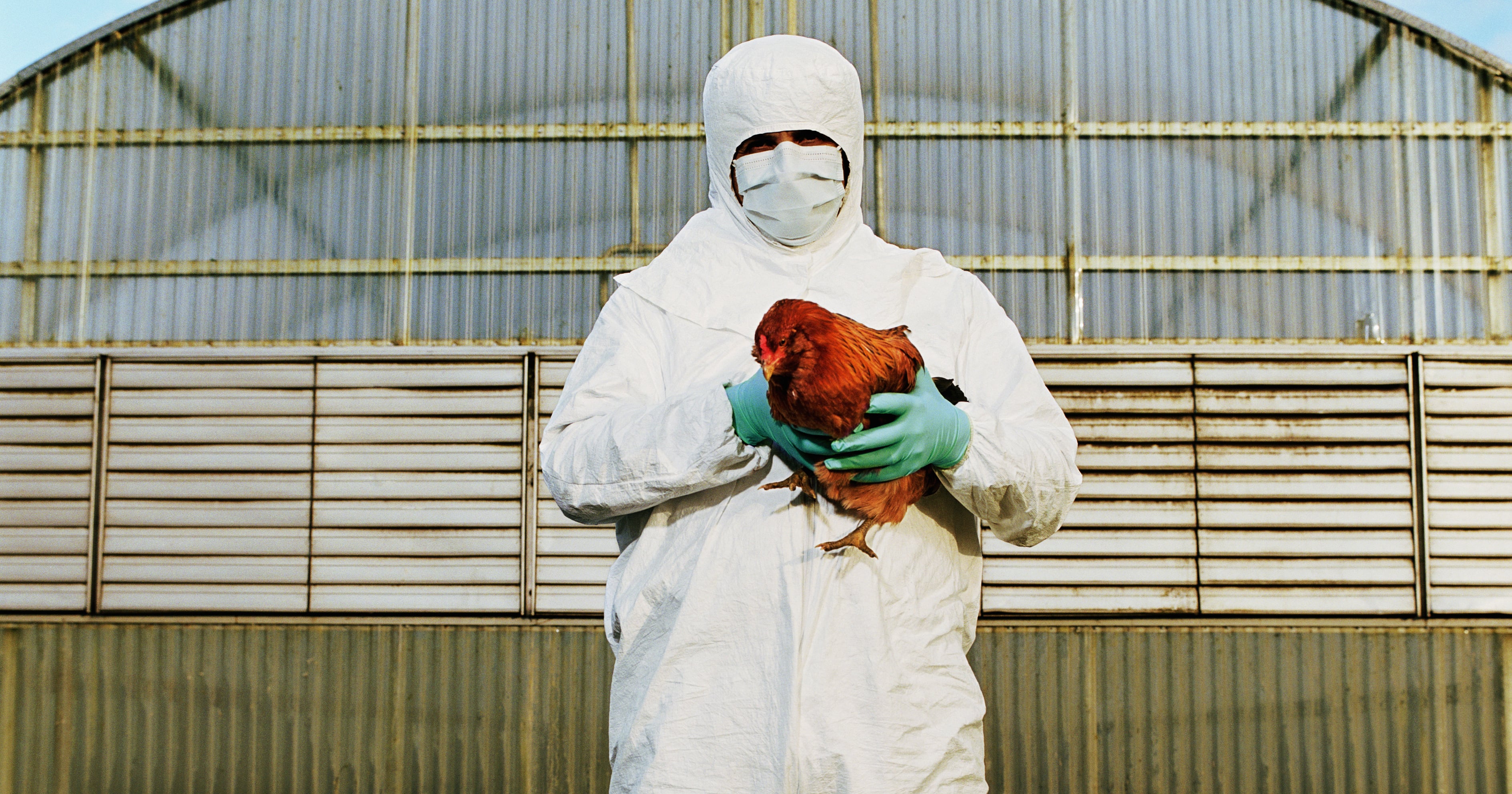 Could There Be a Bird-Flu Pandemic in People?