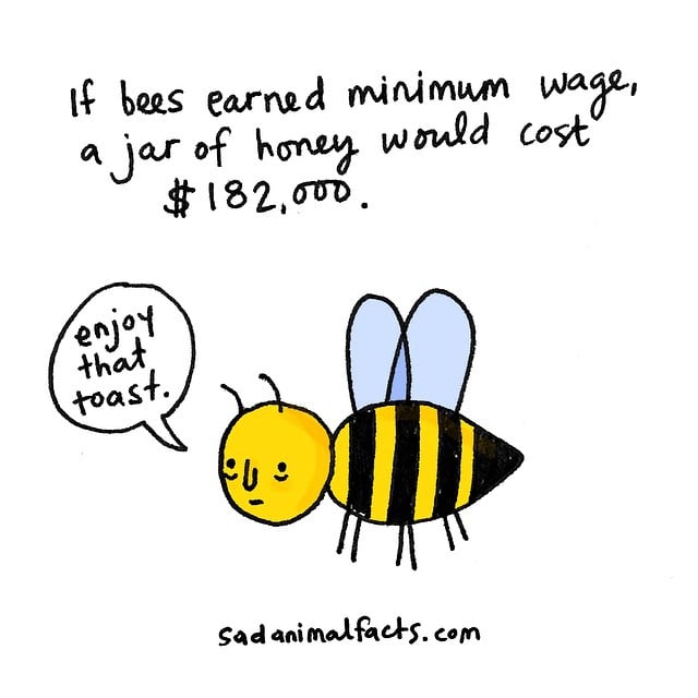 Bees = overworked and underpaid.
