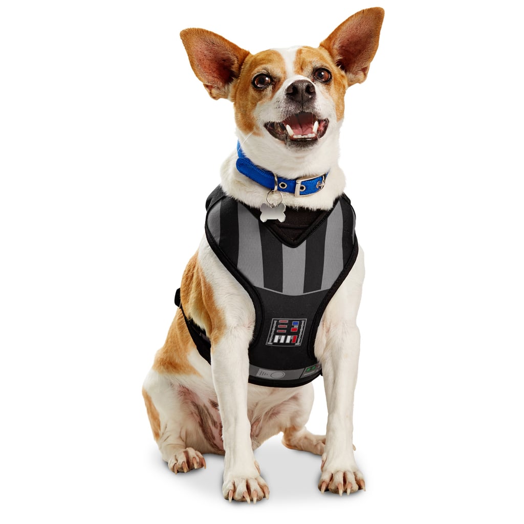 It's time to gear up for the new Star Wars movie, and that includes your pup. Dress him up in this Darth Vader harness ($25 and up) to prepare for this month's newest release. May the Force be with him!