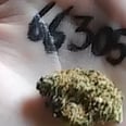 Here's Why People Are Taking Photos of Weed in Their Hand Next to the Number 6,630,507