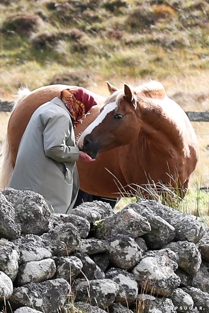 Queen Elizabeth II Feeding Her Horses in Scotland 2018