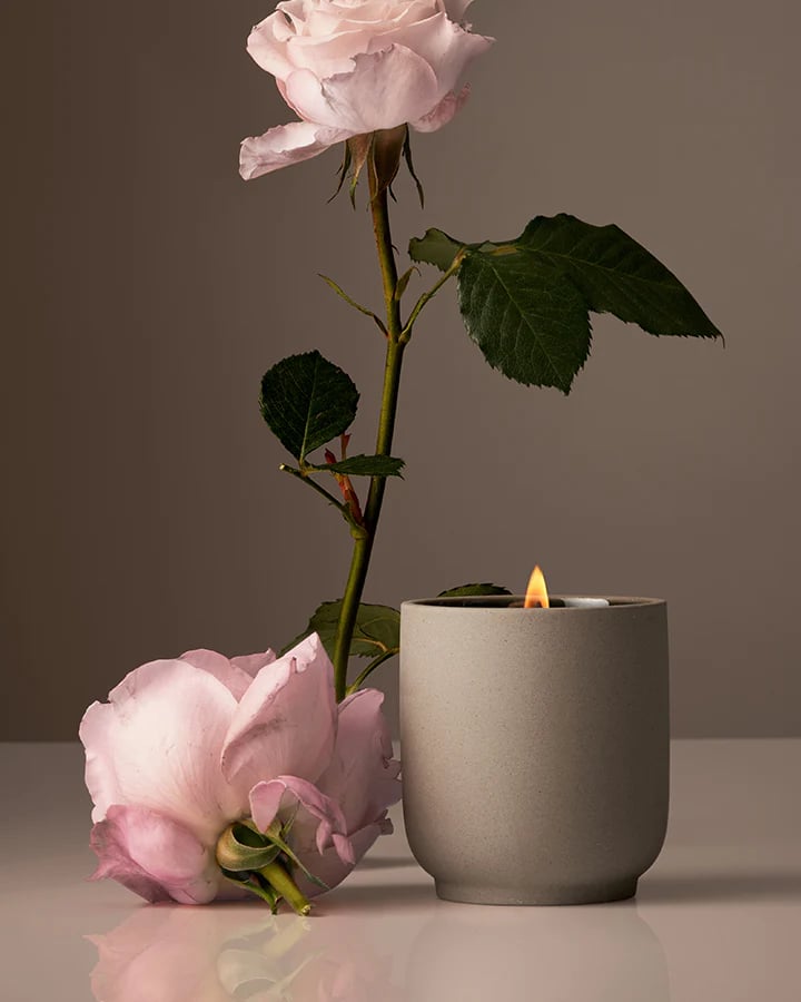 Homecourt Steeped Rose Candle